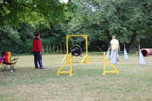Hundeplatz