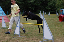 Agilitytraining Wiesbaden