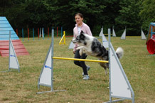 Agility
