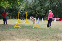 Welpenspielstunde